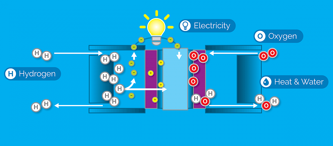 The Fuel Cell Process